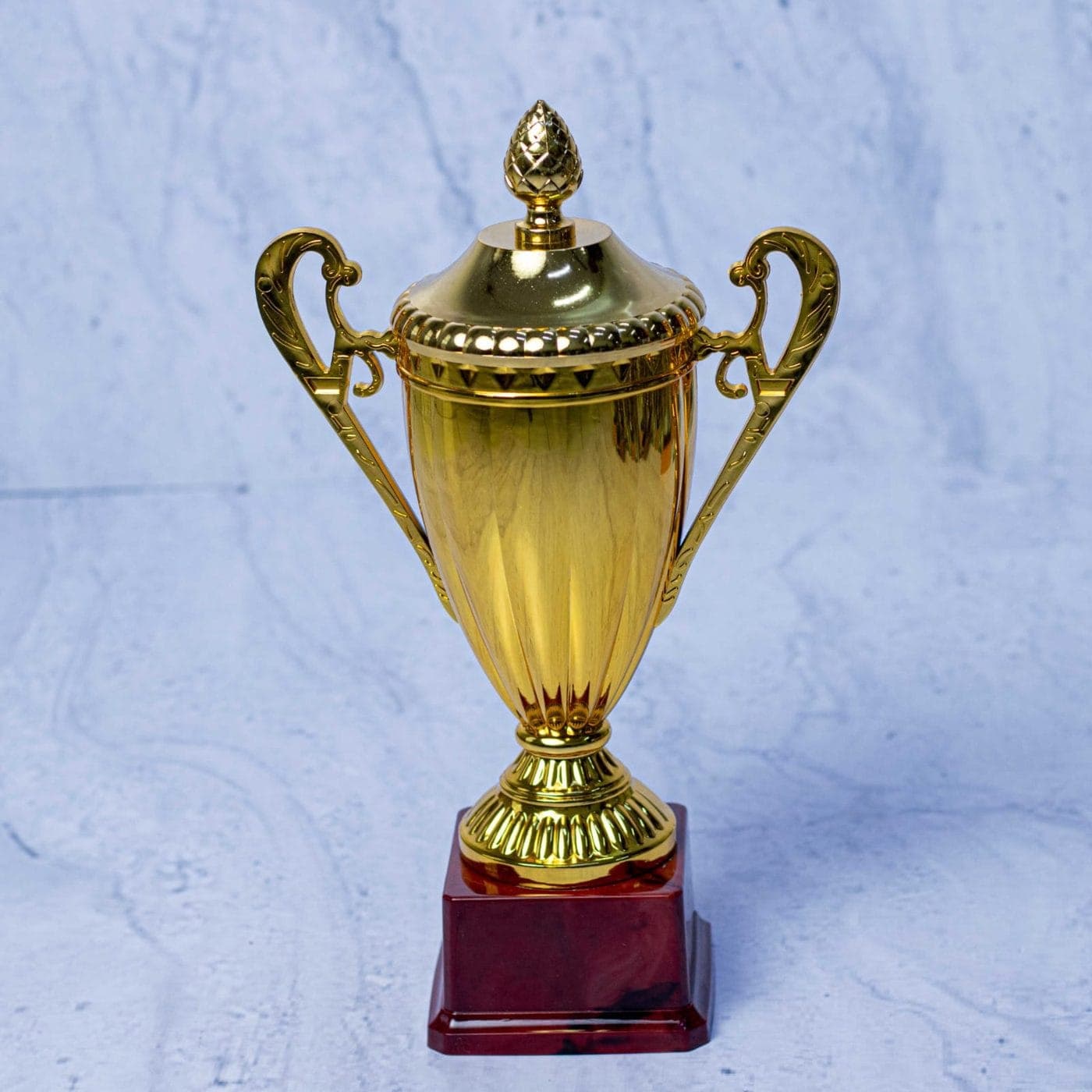 628-100 Trophy