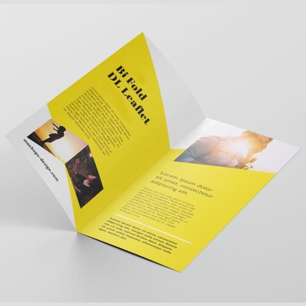 Web & Creative Design