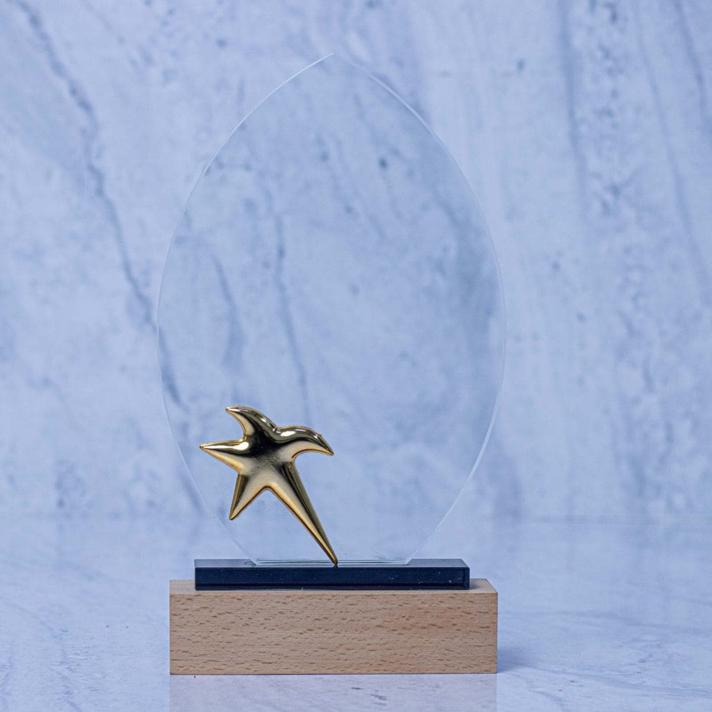 2314 Crystal award