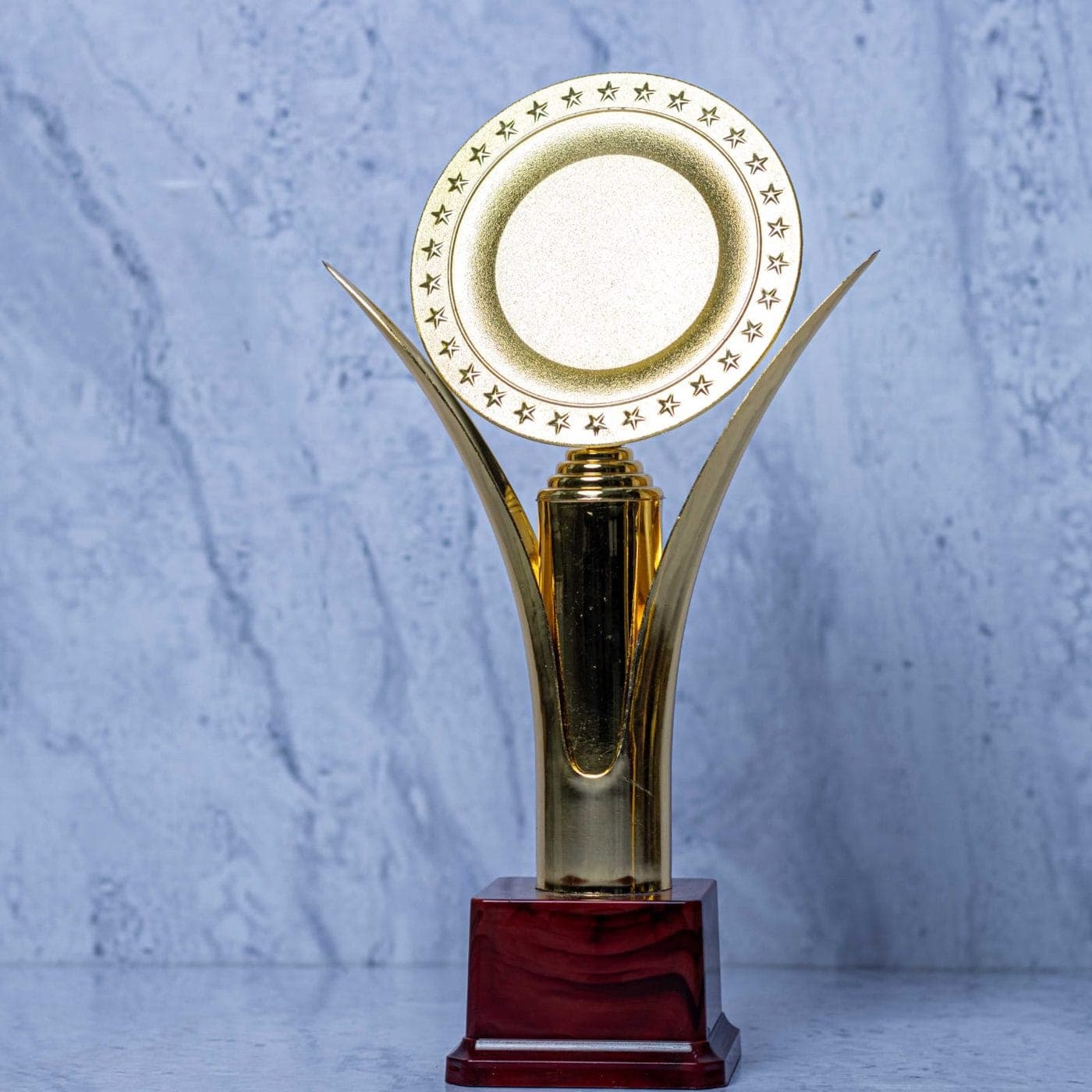 15 - 041 - 160 Trophy π