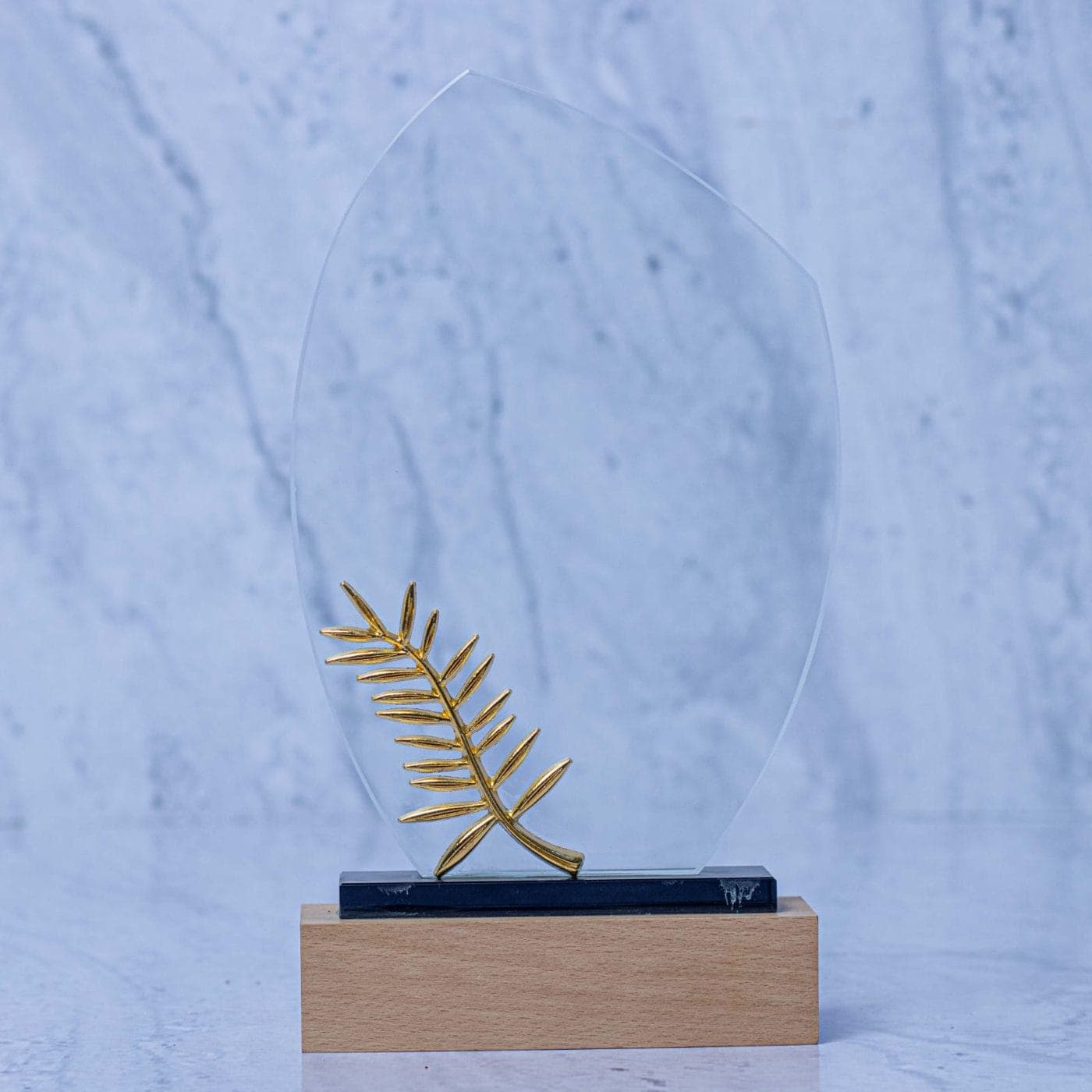 2208 Crystal award